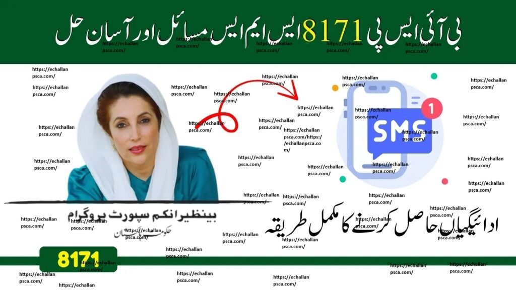 BISP SMS 8171 Issues and Solutions Complete Easy Guide